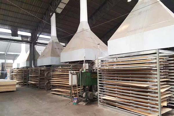 桐木草莓视频APP下载安装材熱壓機工作現場