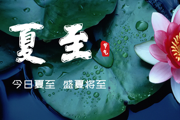 草莓视频APP在线木業 | 盛夏已至,滿目繁華